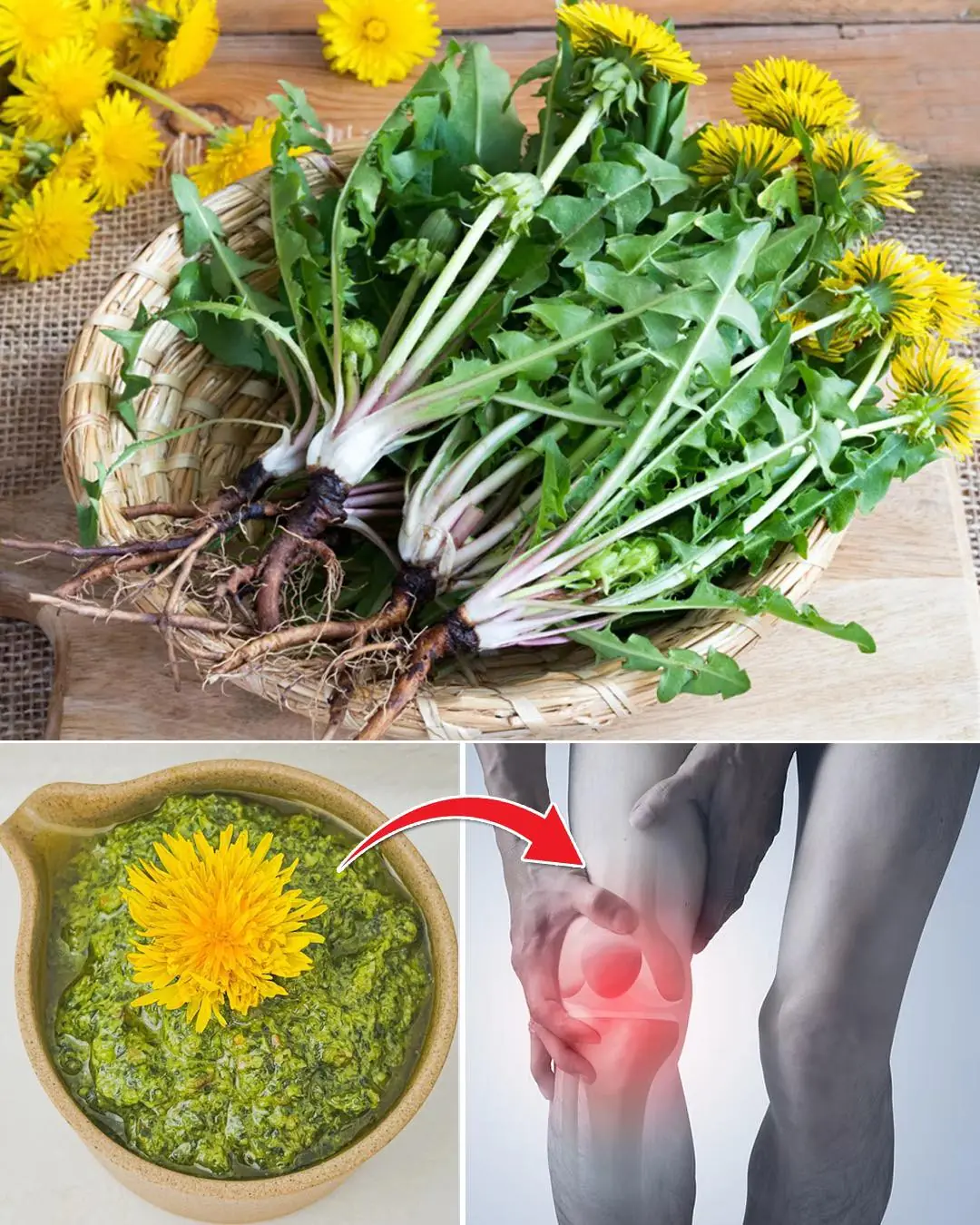 10 incredible ways to use dandelion