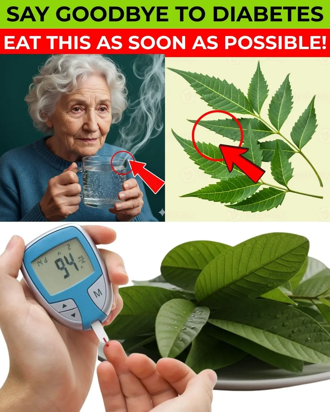 🌿 SENIORS: This 1 Leaf DESTROYS Diabetes & Melts Belly Fat (Doctors HATE It!) | Barbara O’Neill