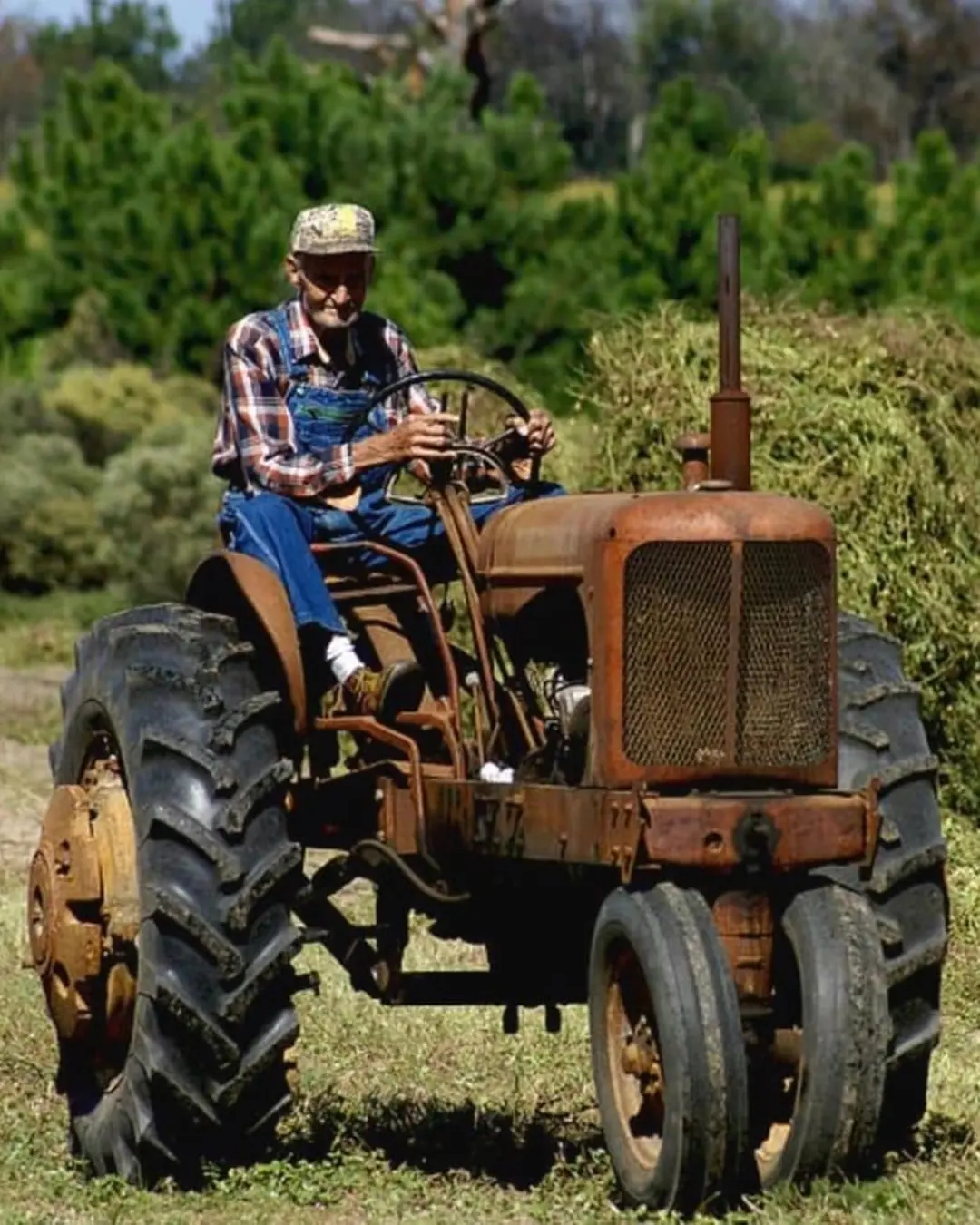The Farmer’s Slow Lane