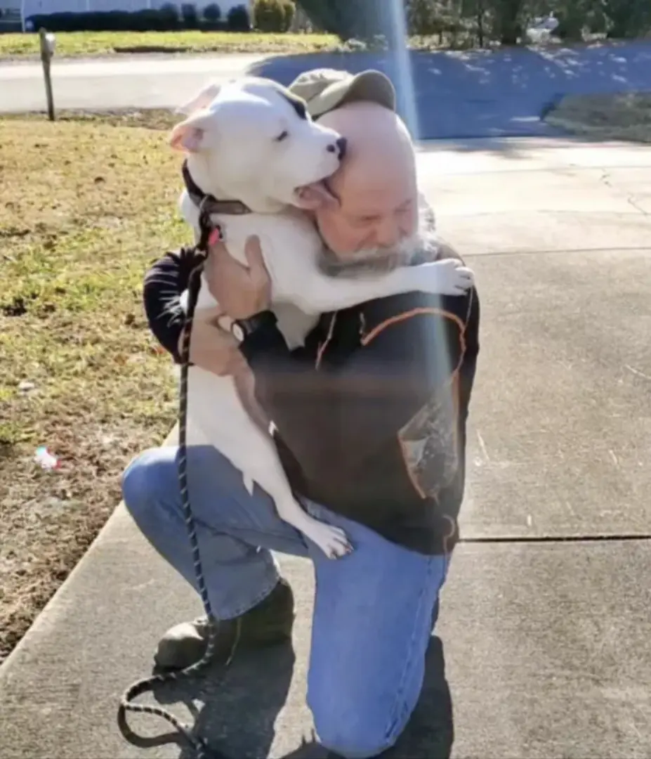 The Dog Who Healed Our Hearts: A Story of Rescue, Love, and Second Chances