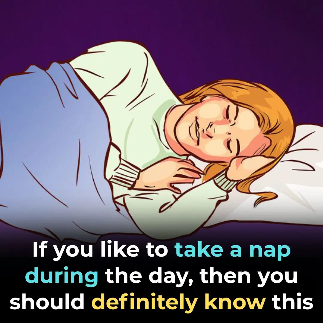 Important News for Everyone Who Loves a Daytime Nap