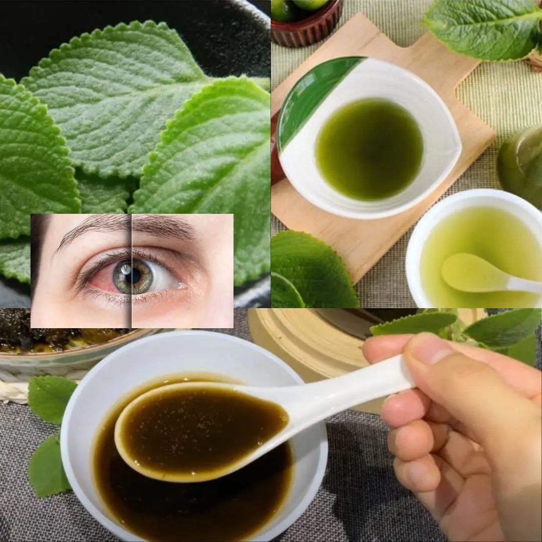 Oregano: The Golden Herb for Eye Health