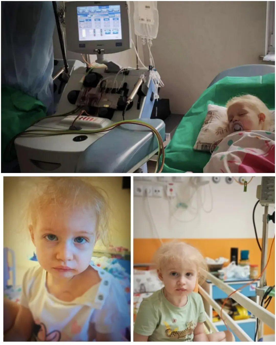 Zosia’s Fight — The Little Lioness Who Refuses to Give Up