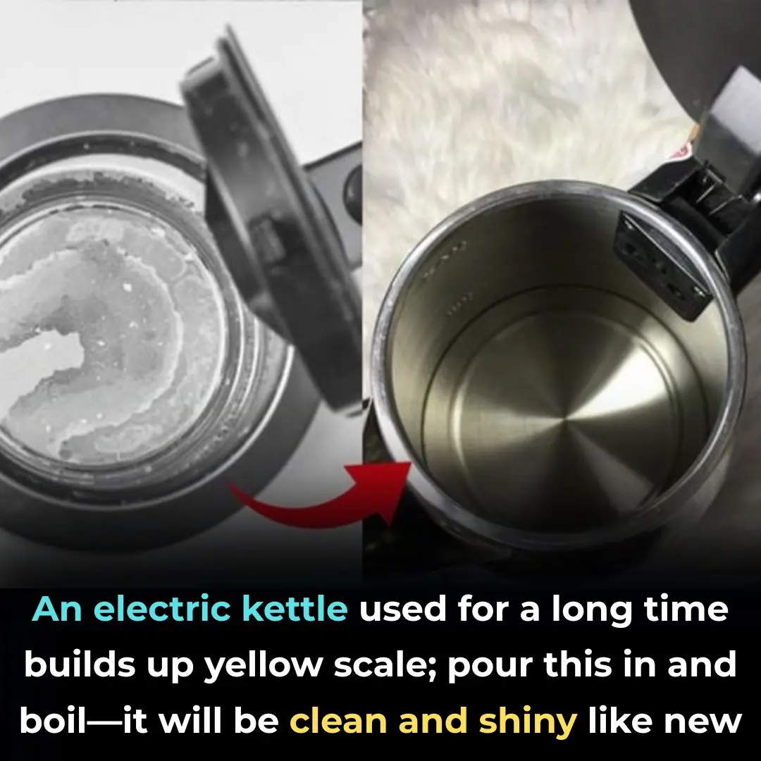 Electric Kettle Turning Yellow or Crusty Inside? Boil This — and It’ll Shine Like New Without Scrubbing