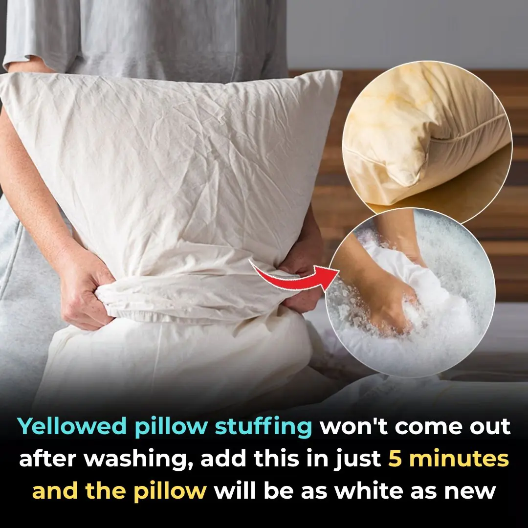 Yellowed pillow stuffing won't come out after washing, add this in just 5 minutes and the pillow will be as white as new
