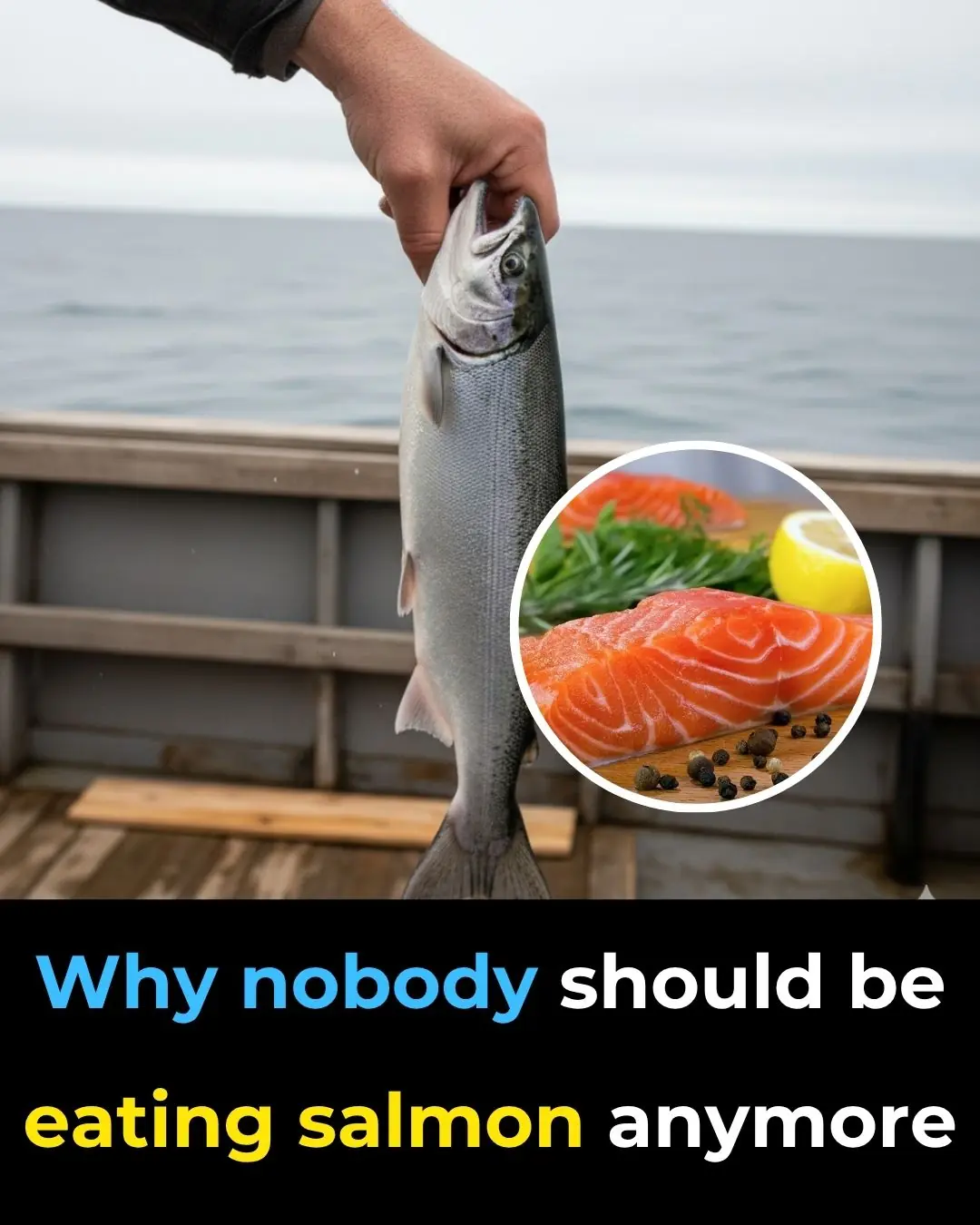 Why Nobody Should Be Eating Salmon Anymore