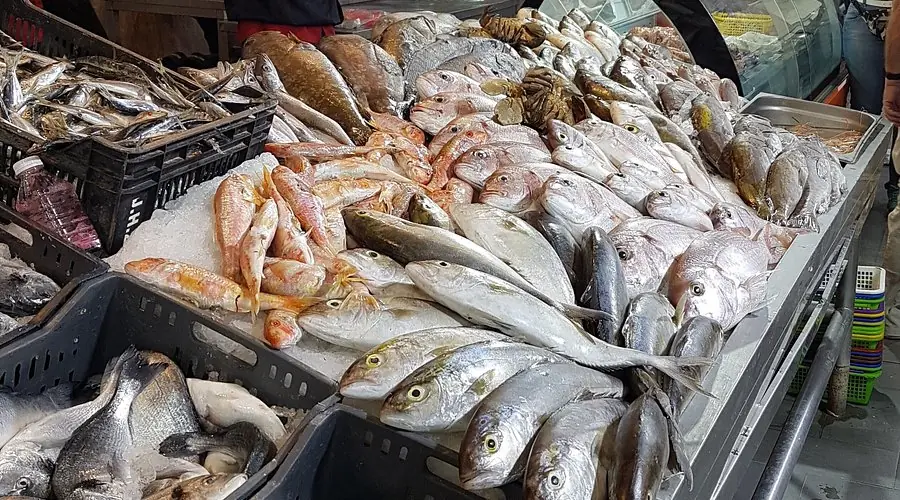 Top 8 Kinds of Fish You Should Never Eat