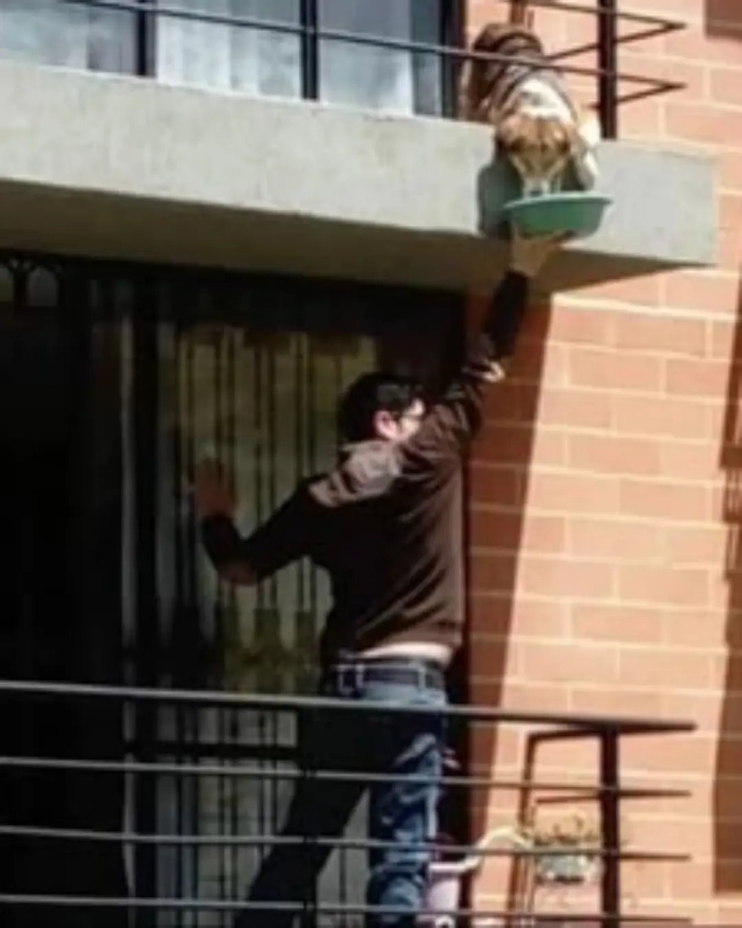 A Neighbor’s Kindness: How Carlos Saved Luna When Her Owner Couldn’t.