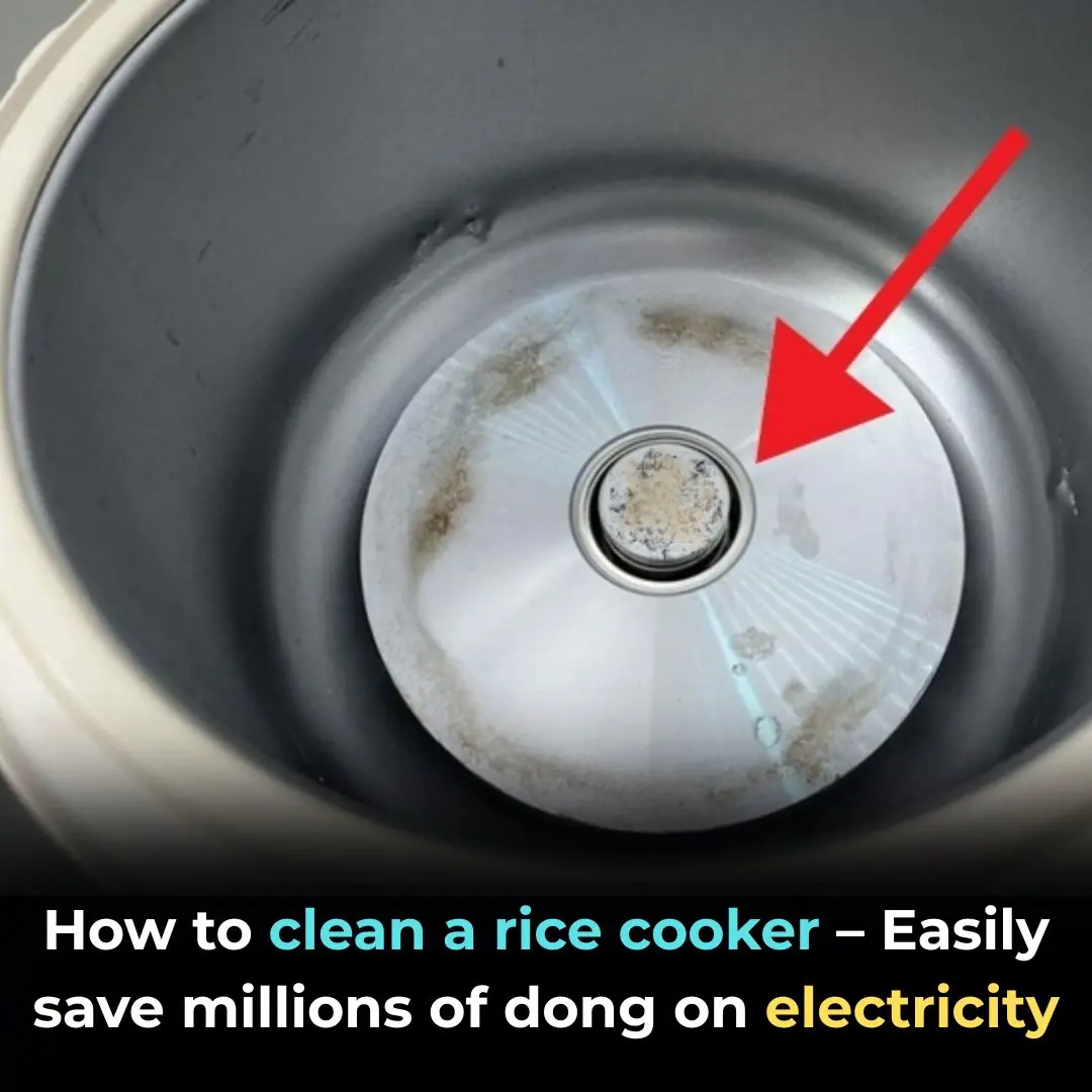 Save Hundreds on Electricity Bills Every Year by Cleaning This Hidden Part of Your Rice Cooker