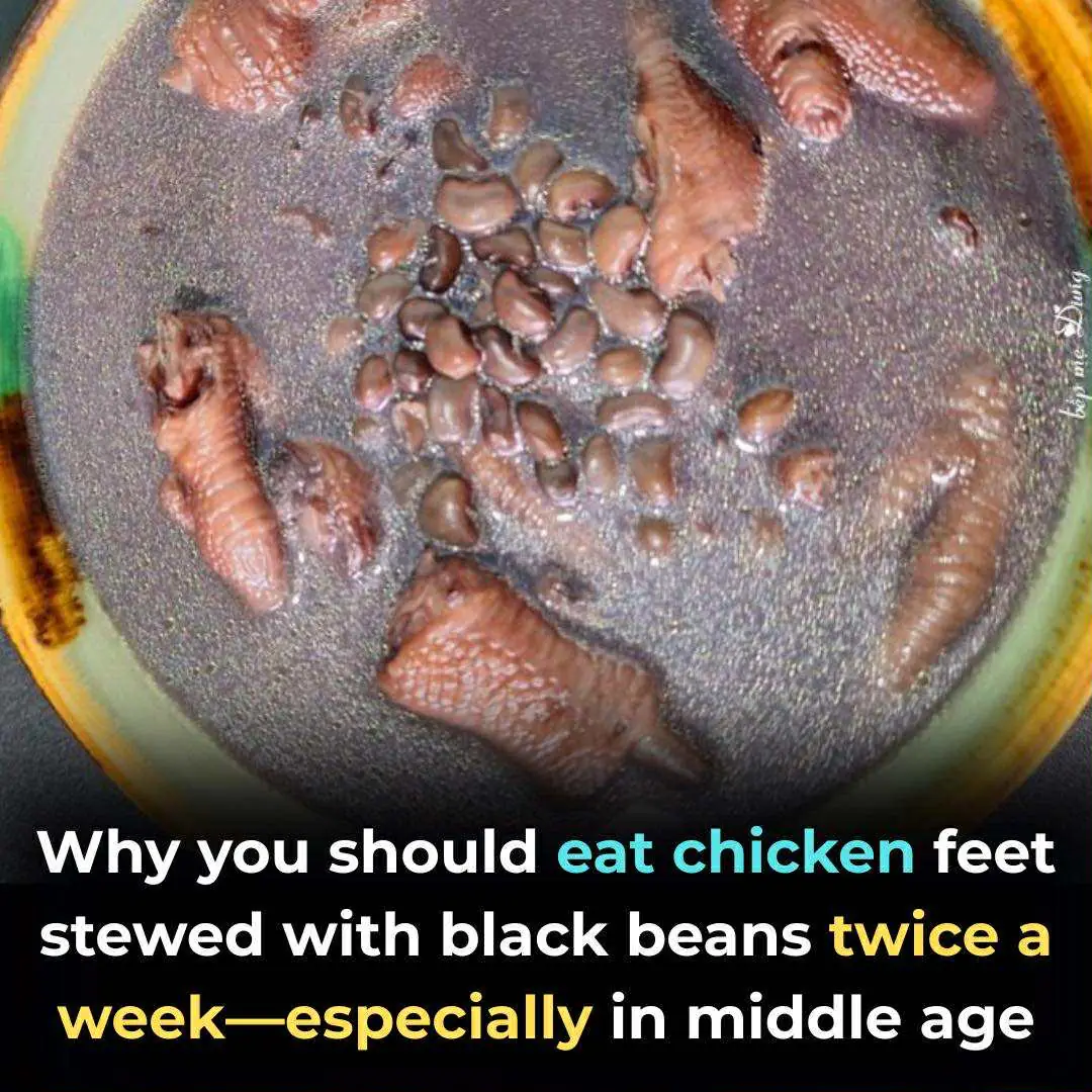 Chicken Feet Stewed with Black Beans: The “Collagen Soup” as Nutritious as Ginseng