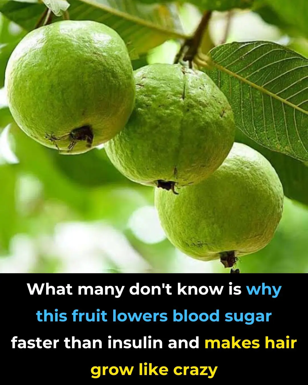 Discover The Power of This Miracle Fruit