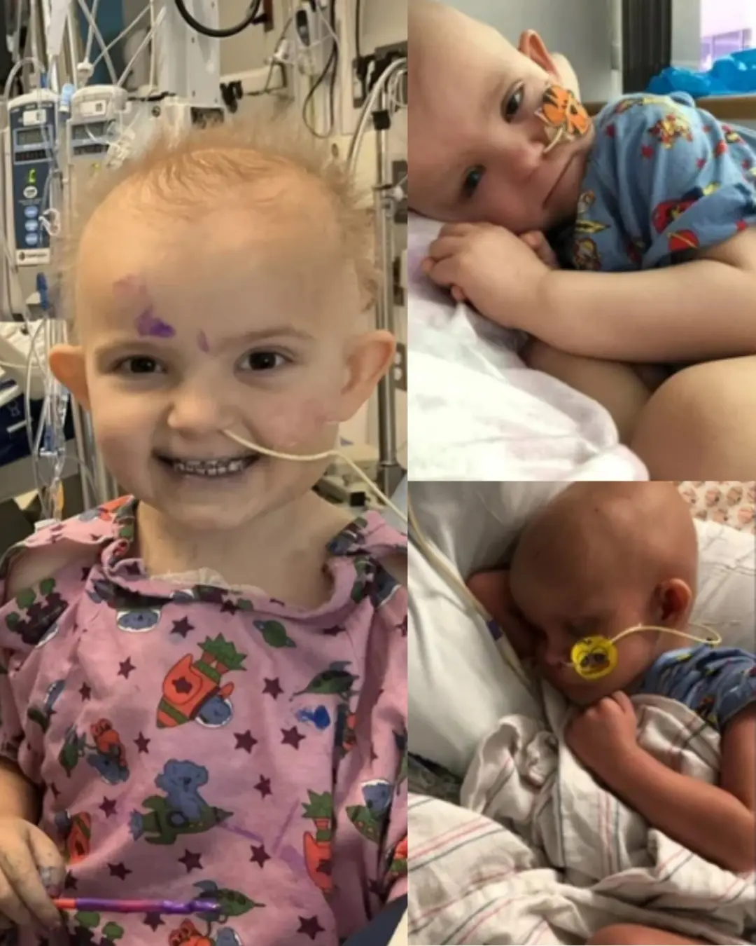 Evelyn Grace Jackson: A Tiny Warrior’s Legacy of Courage and Love