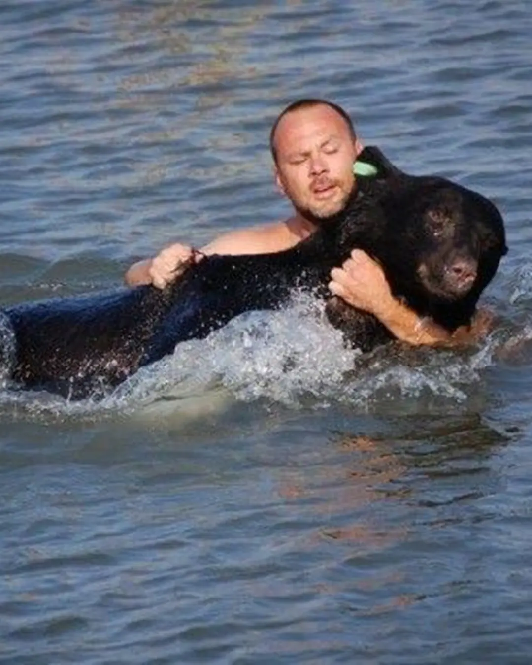 The Man Who Saved the Drowning Bear.