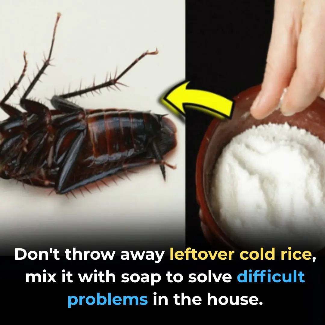 Don't throw away leftover cold rice, mix it with soap to solve difficult problems in the house.
