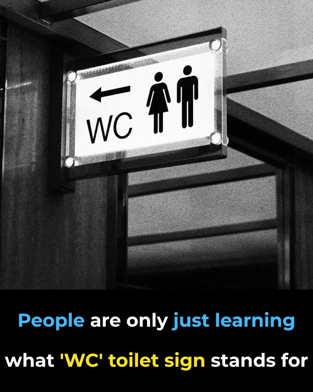 The Meaning Behind the WC Toilet Sign