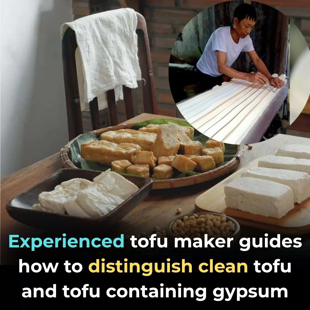 Experienced tofu maker guides how to distinguish clean tofu and tofu containing gypsum
