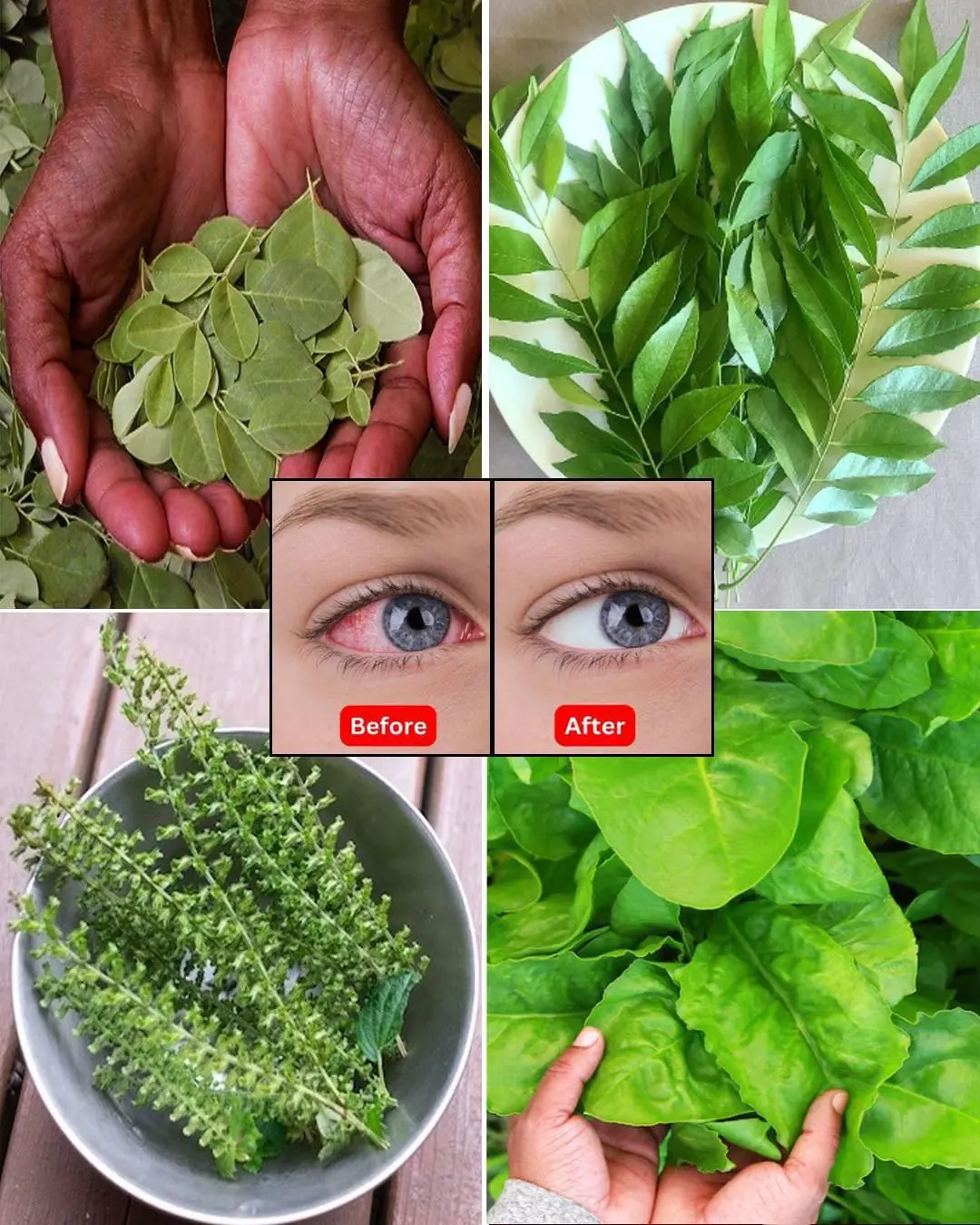 7 Essential Leaves to Naturally Improve Your Eye Health