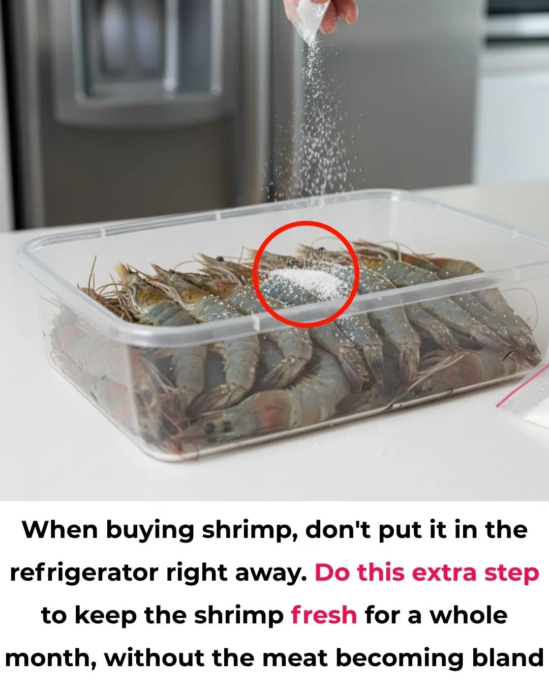 Don’t Just Put Shrimp Straight into the Fridge! Do This Extra Step and Keep Shrimp Fresh and Delicious for Up to a Month Without Losing Flavor