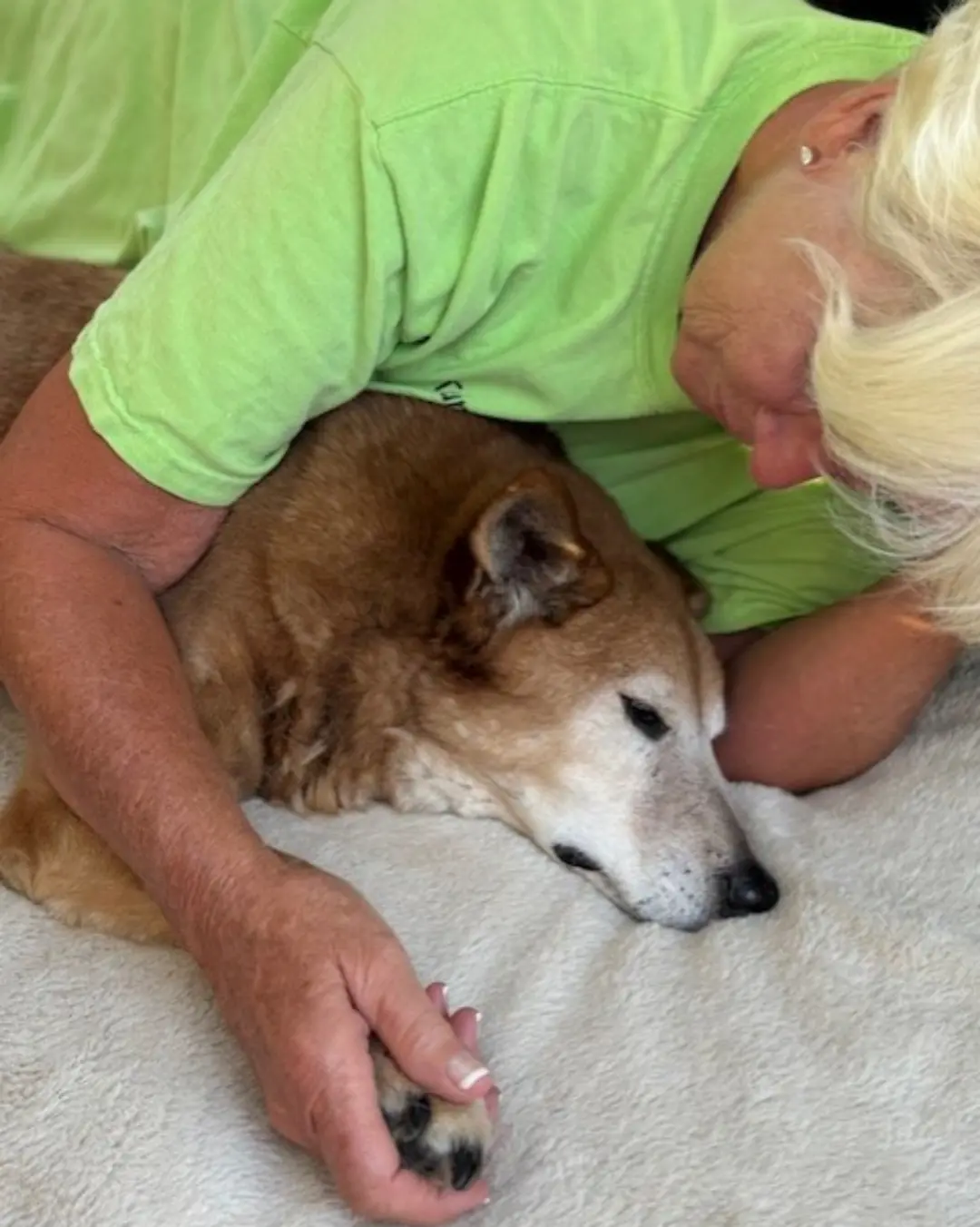 Our Oldest Rescue, Tiger, Crosses the Rainbow Bridge: A Legacy of Love and Hope