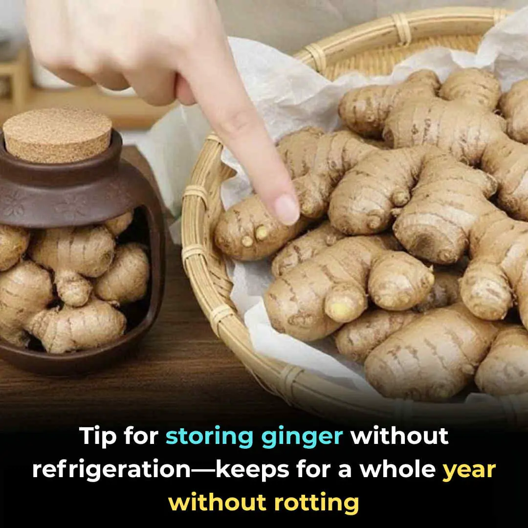How to Store Fresh Ginger for Up to a Year ā No Fridge Needed!