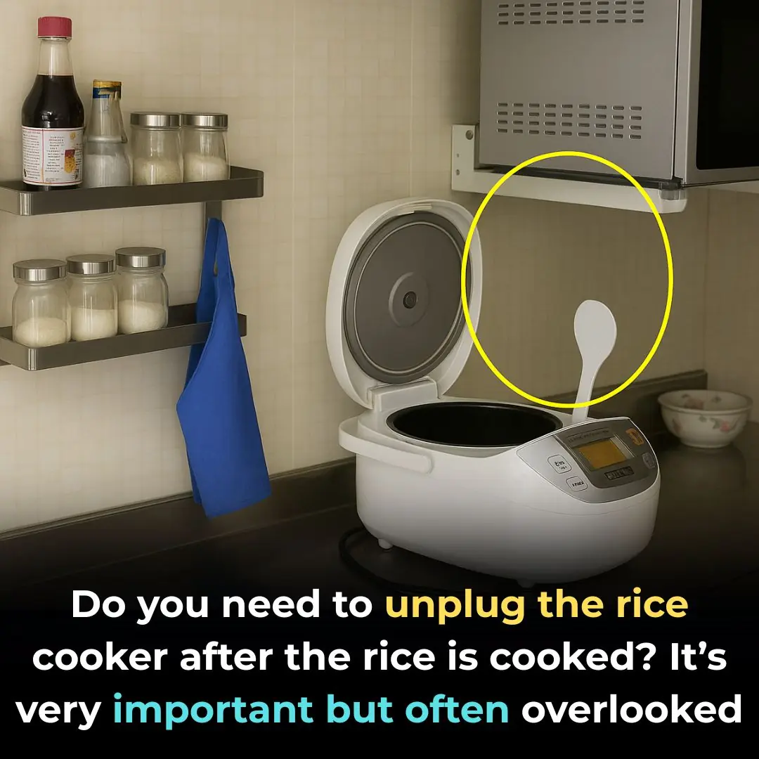 Do You Need to Unplug Your Rice Cooker After the Rice Is Done?