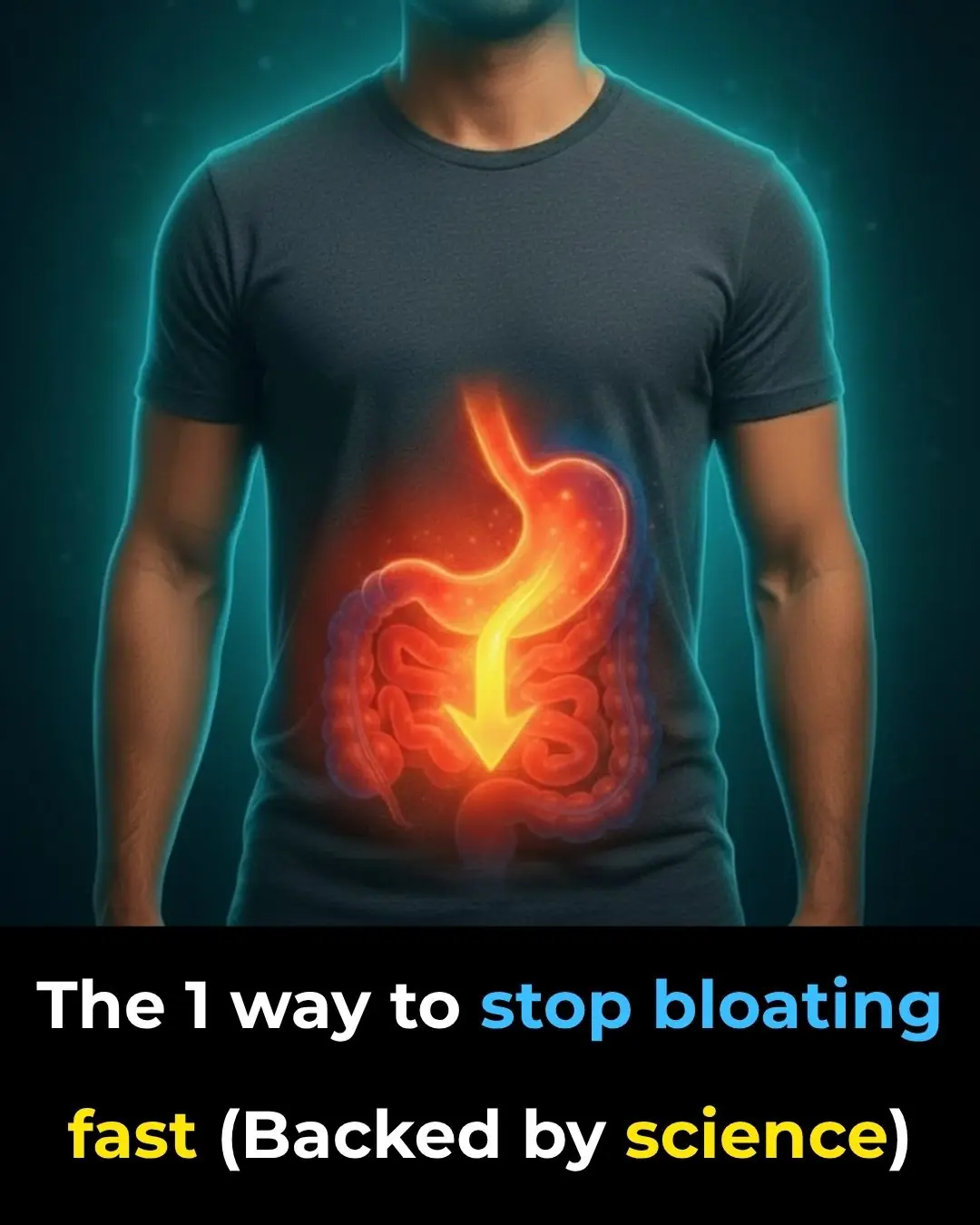 The #1 Way To Stop Bloating Fast