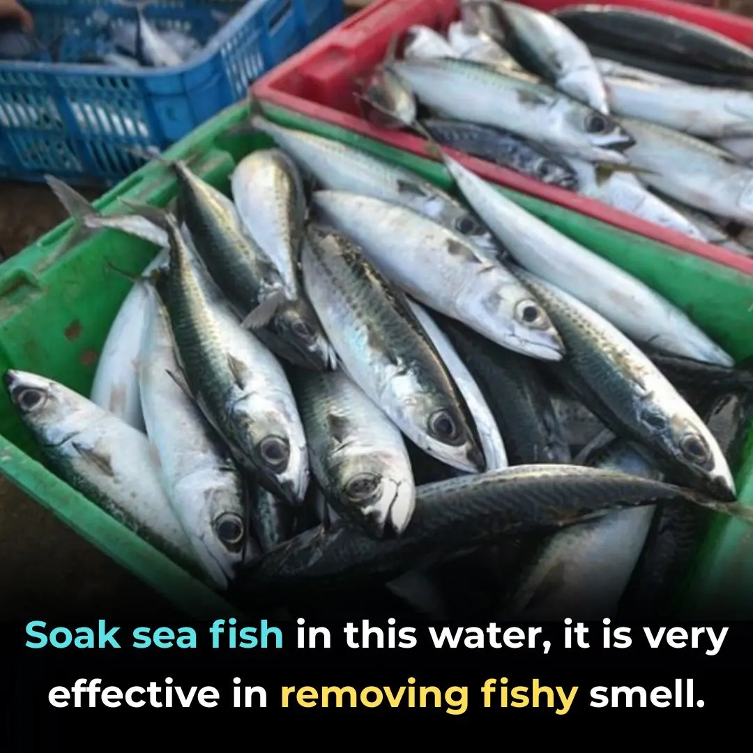 Soak sea fish in this water, it is very effective in removing fishy smell.