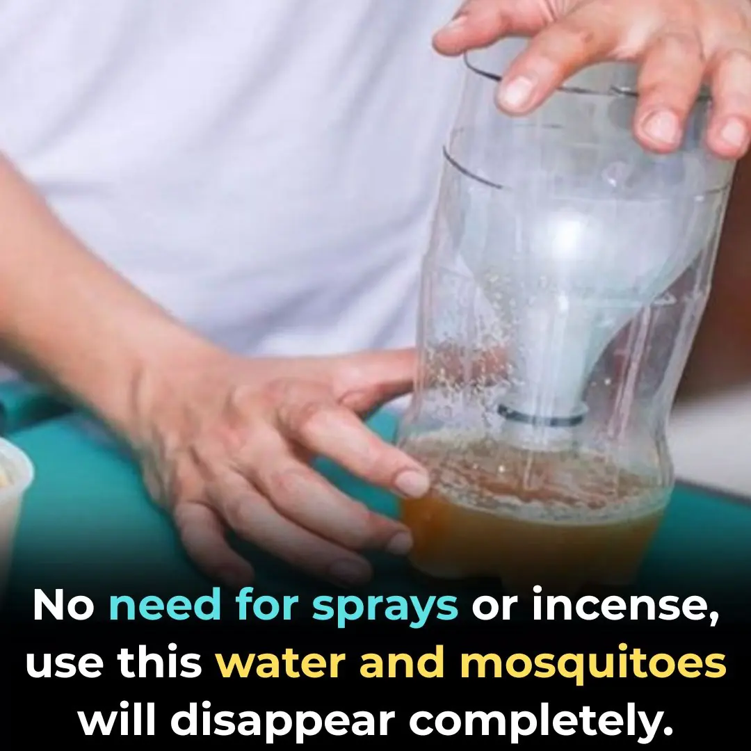 No need for sprays or incense, use this water and mosquitoes will disappear completely.