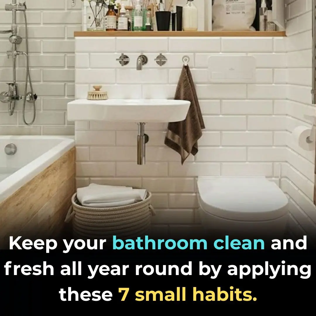 Keep your bathroom clean and fresh all year round by applying these 7 small habits.