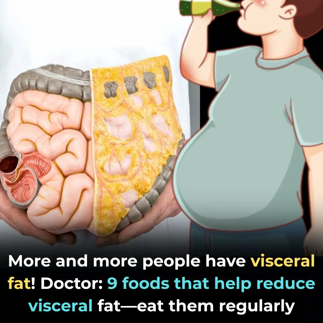 Growing Concern Over Visceral Fat — Doctors Recommend 9 Foods to Help Burn It Naturally