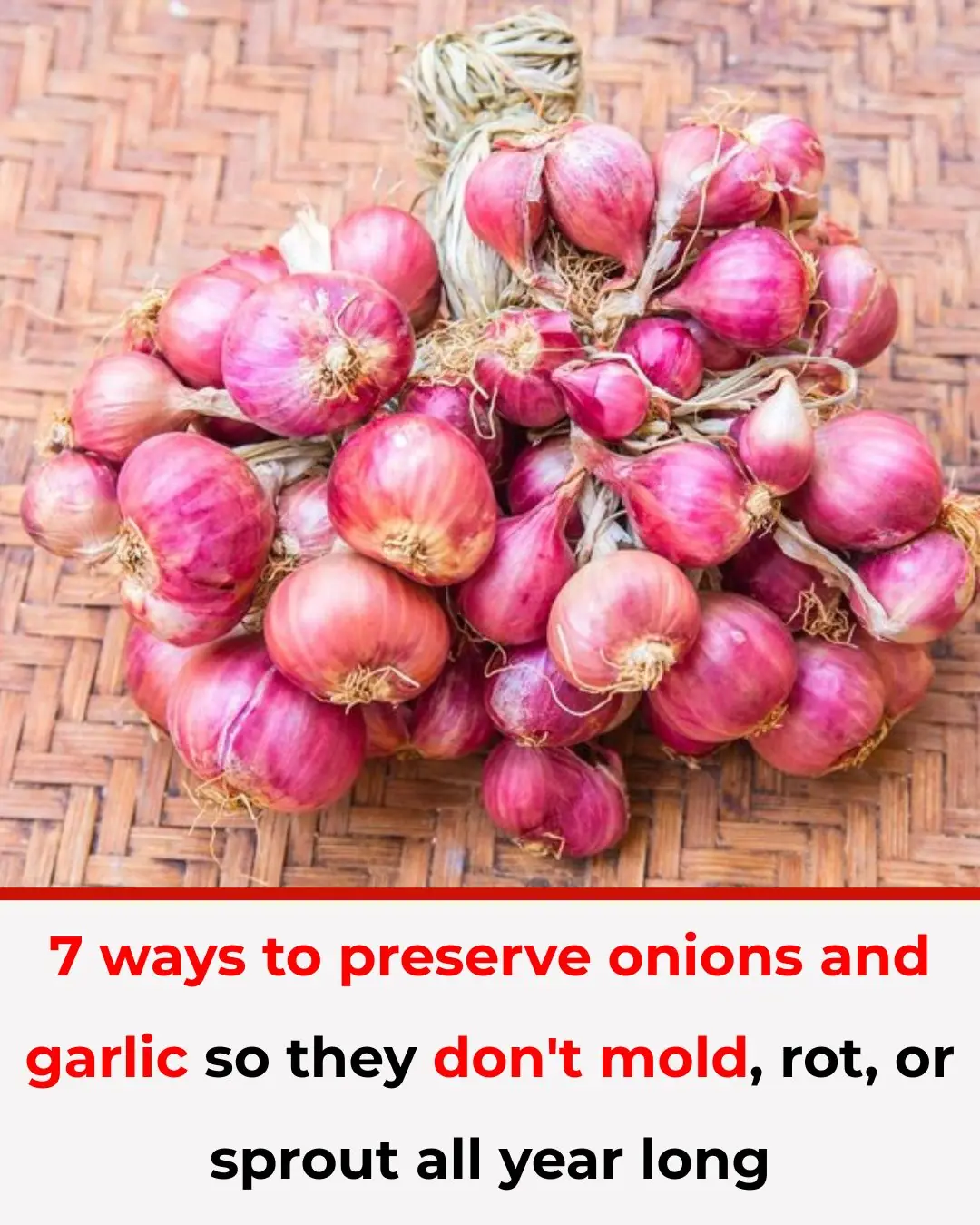 7 ways to preserve onions and garlic so they don't mold, rot, or sprout all year long