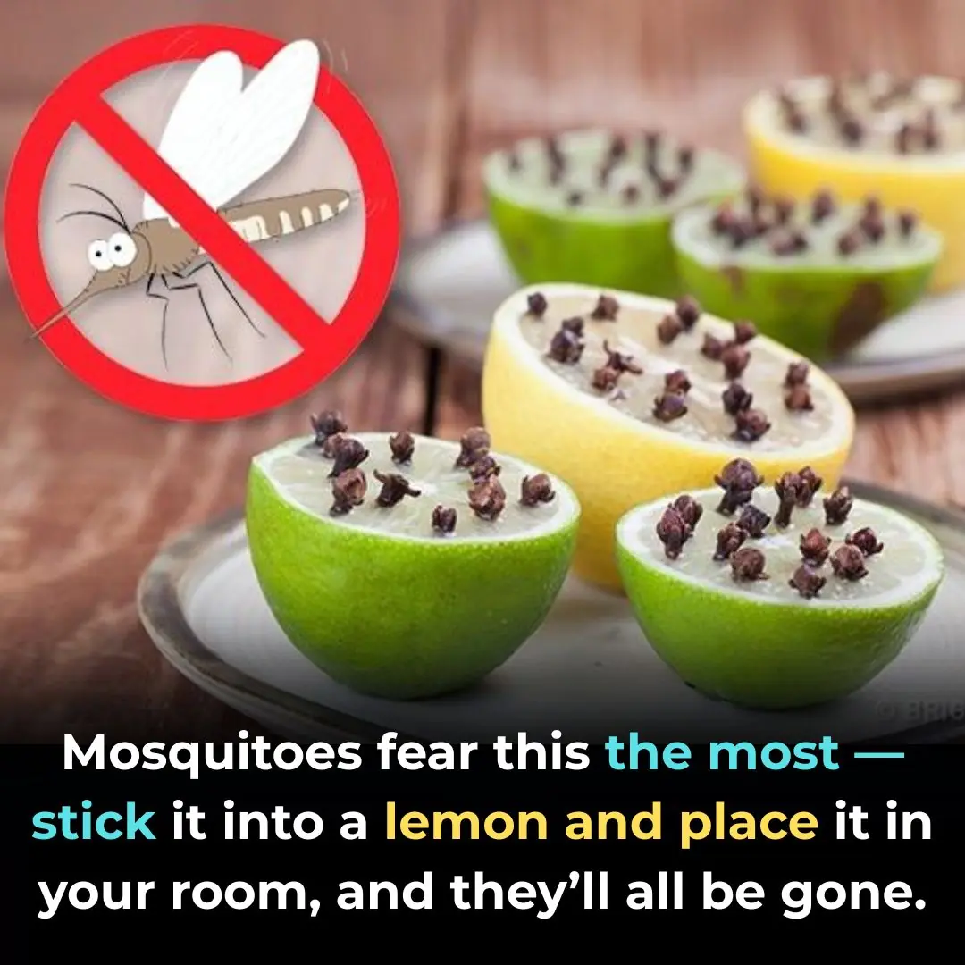 Keep Mosquitoes Away Naturally: Simple Home Remedies That Really Work