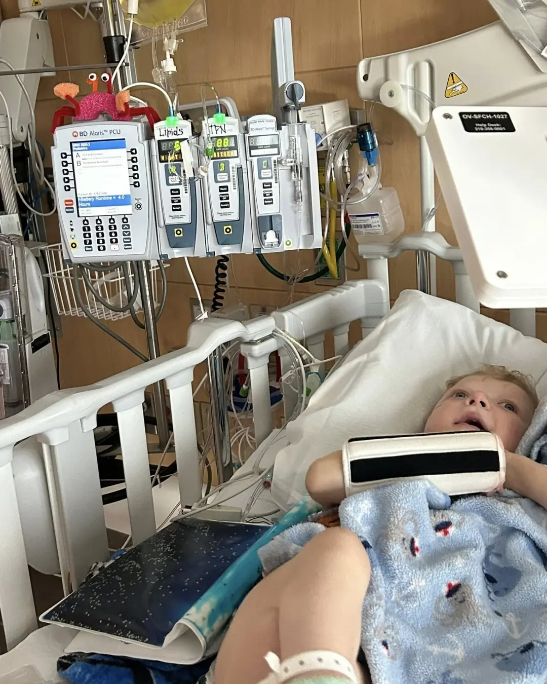 Maverick’s Return to Joy: From Hospital Halls to Home on the Horizon
