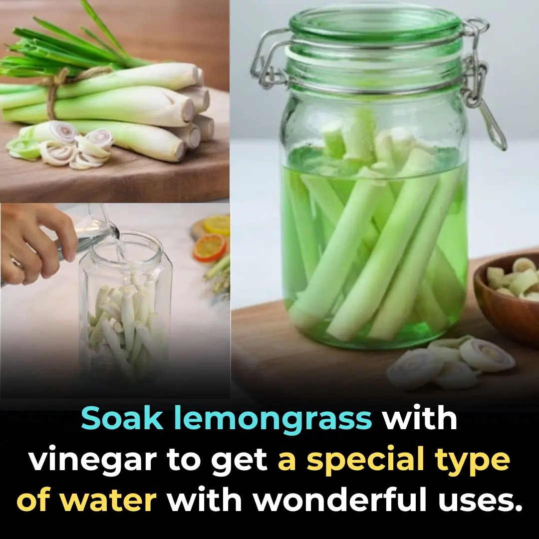 Soak lemongrass with vinegar to get a special type of water with wonderful uses.