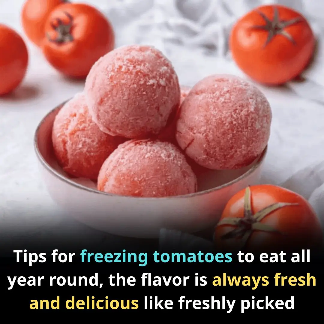 Tips for freezing tomatoes to eat all year round, the flavor is always fresh and delicious like freshly picked