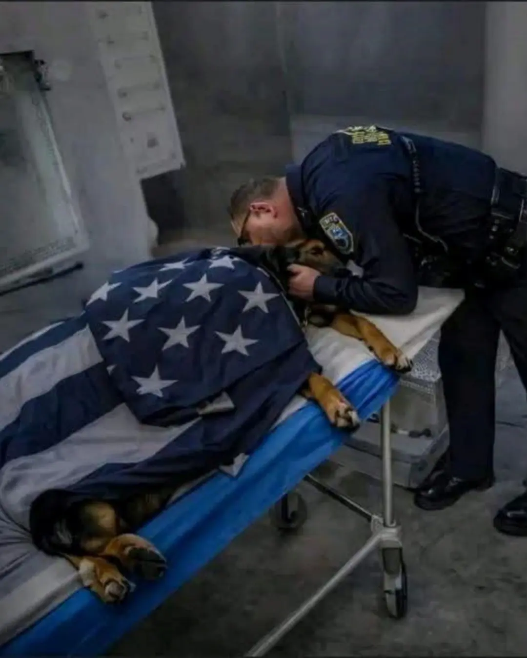 Tomorrow, a Community Says Goodbye to K9 King: A Four-Legged Hero Who Will Never Be Forgotten