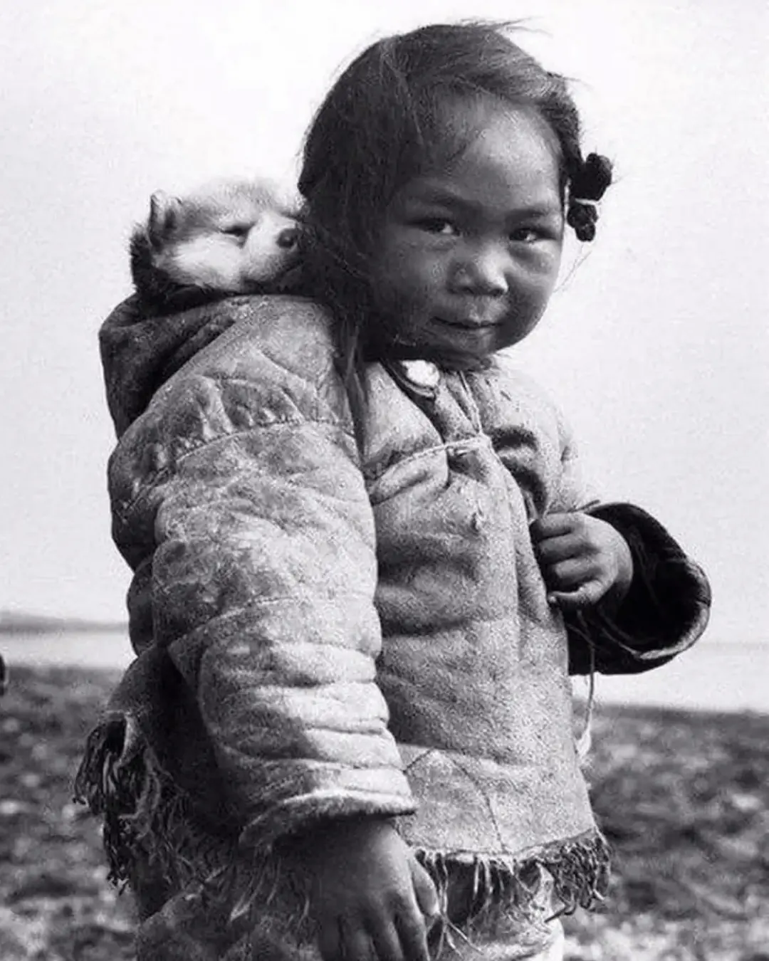 A Girl, a Puppy, and the Arctic: The Enduring Story Behind an Iconic Photograph
