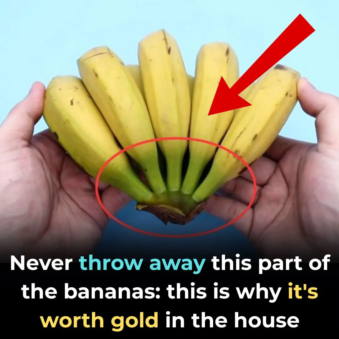 Don’t Toss That Banana Part