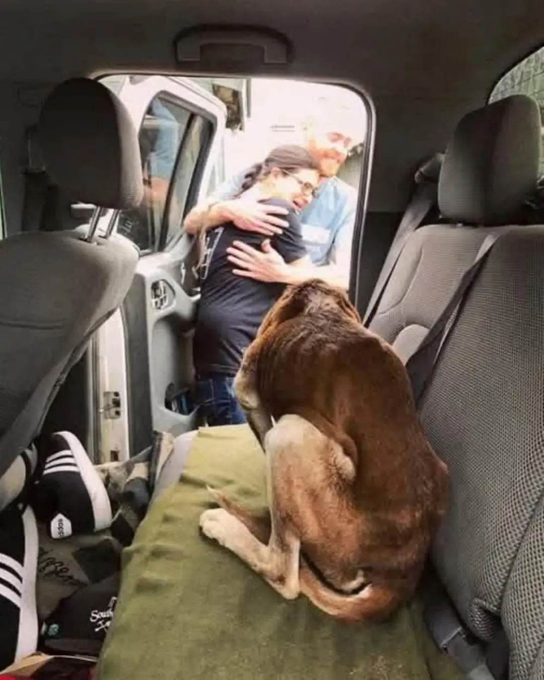 A Boy, a Cat, and a Moment That Stopped Time