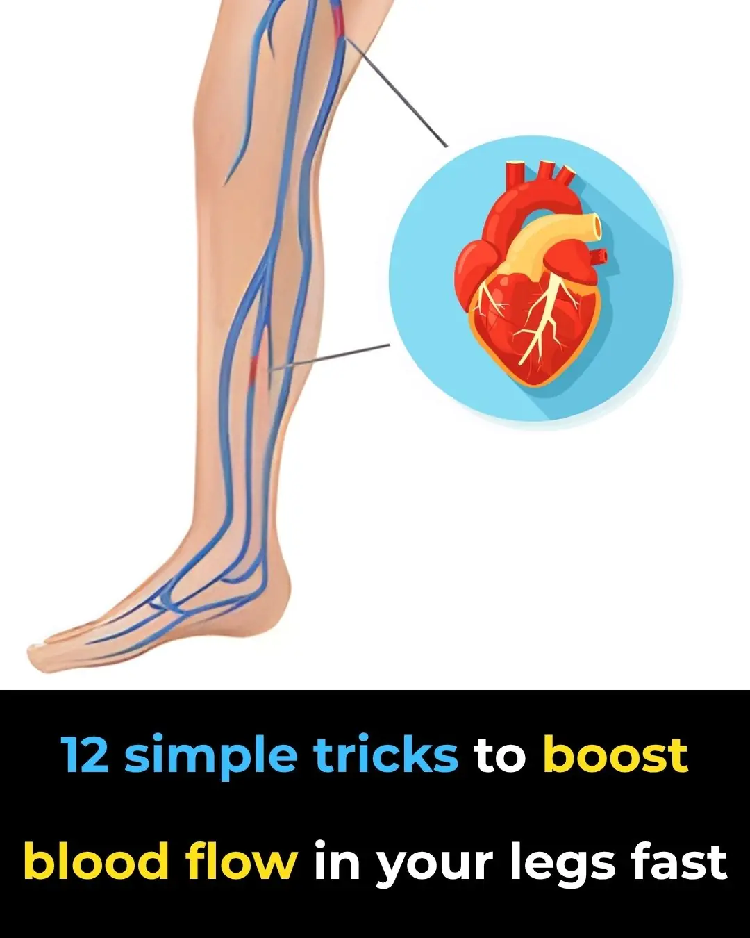 Top 12 ways to quickly improve blood circulation in legs