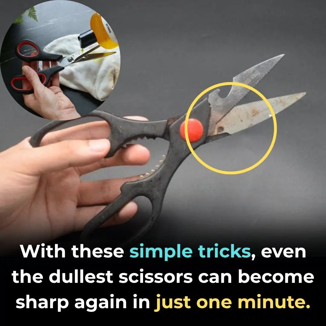 Don’t Use a Whetstone! Try This Simple Trick to Make Your Dull Scissors Sharp as New