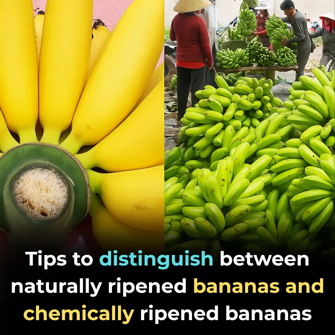 Tips to distinguish between naturally ripened bananas and chemically ripened bananas