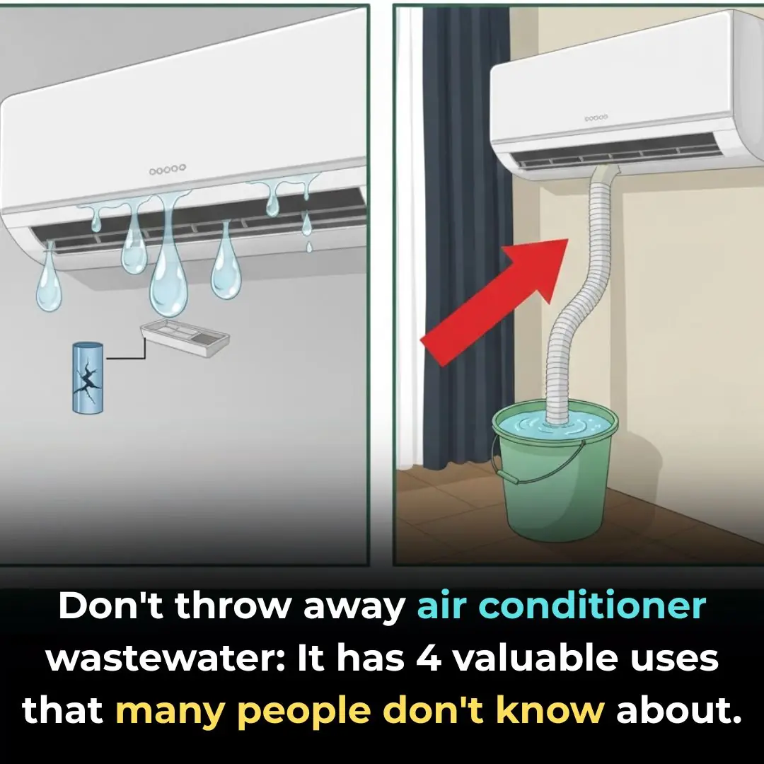 Don't throw away air conditioner wastewater: It has 4 valuable uses that many people don't know about.