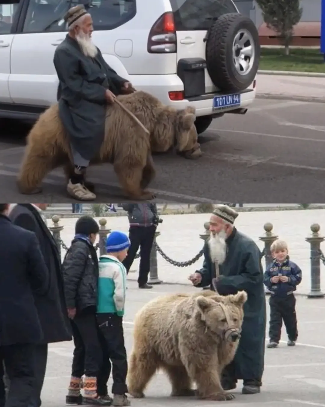 The Man and the Bear Who Walked Through Life Together.