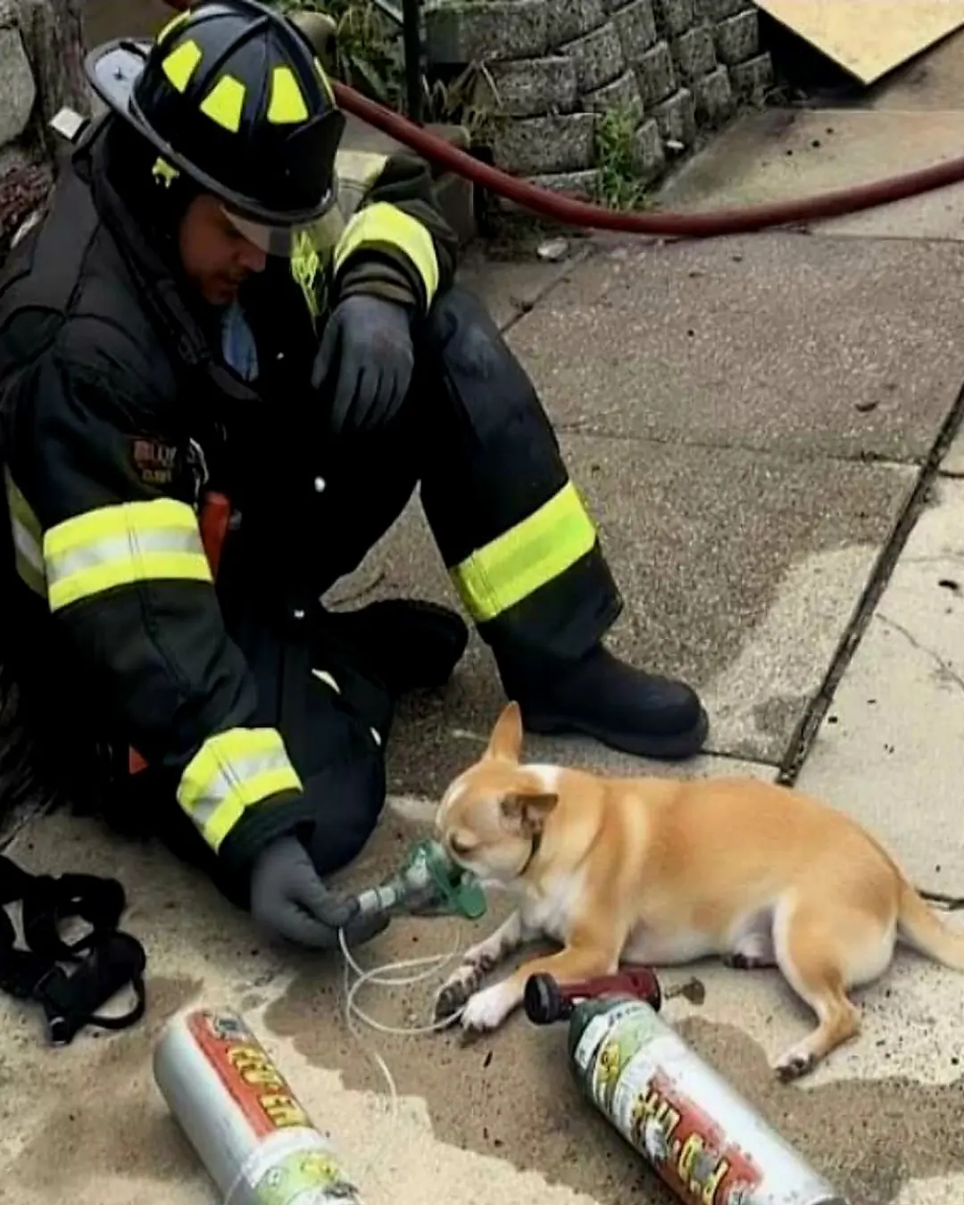The Firefighter Who Chose Life Over Orders.