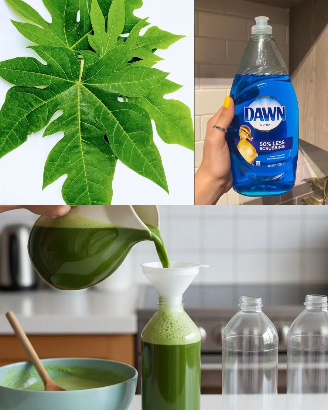 Turn Papaya Leaves Into a Powerful Homemade Detergent