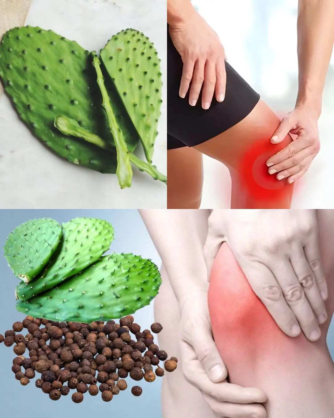 Anti-Inflammatory Power: Relieve Joint Swelling and Bone Pain with Prickly Pear (Nopal) Water 🌿💧