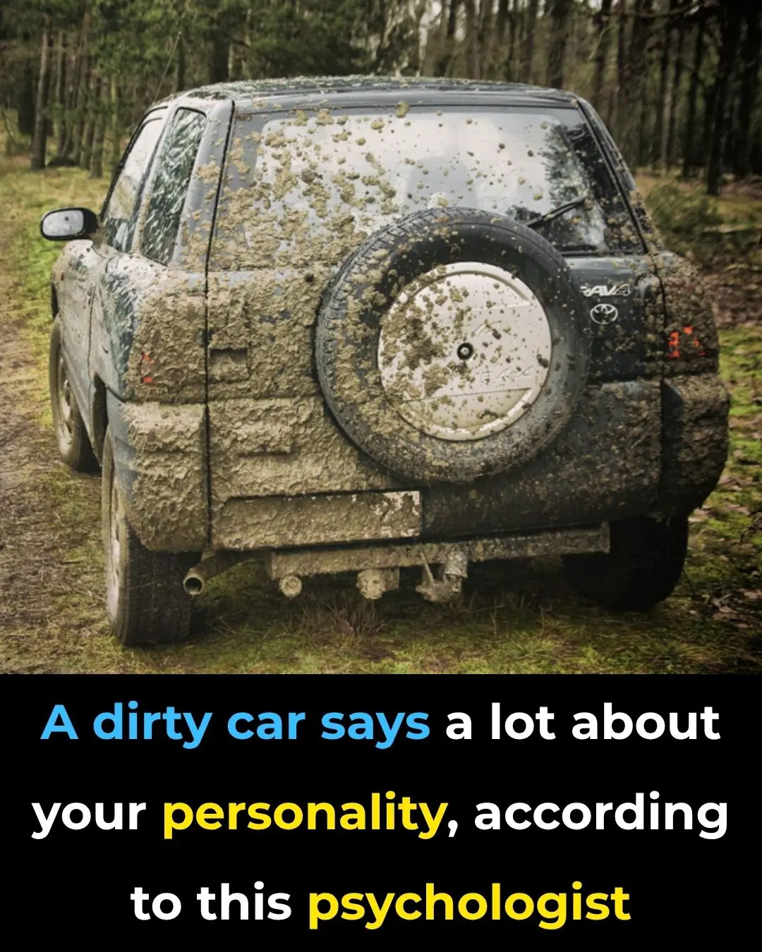 According To This Psychologist, A Dirty Car Can Reveal A Lot About Your Personality