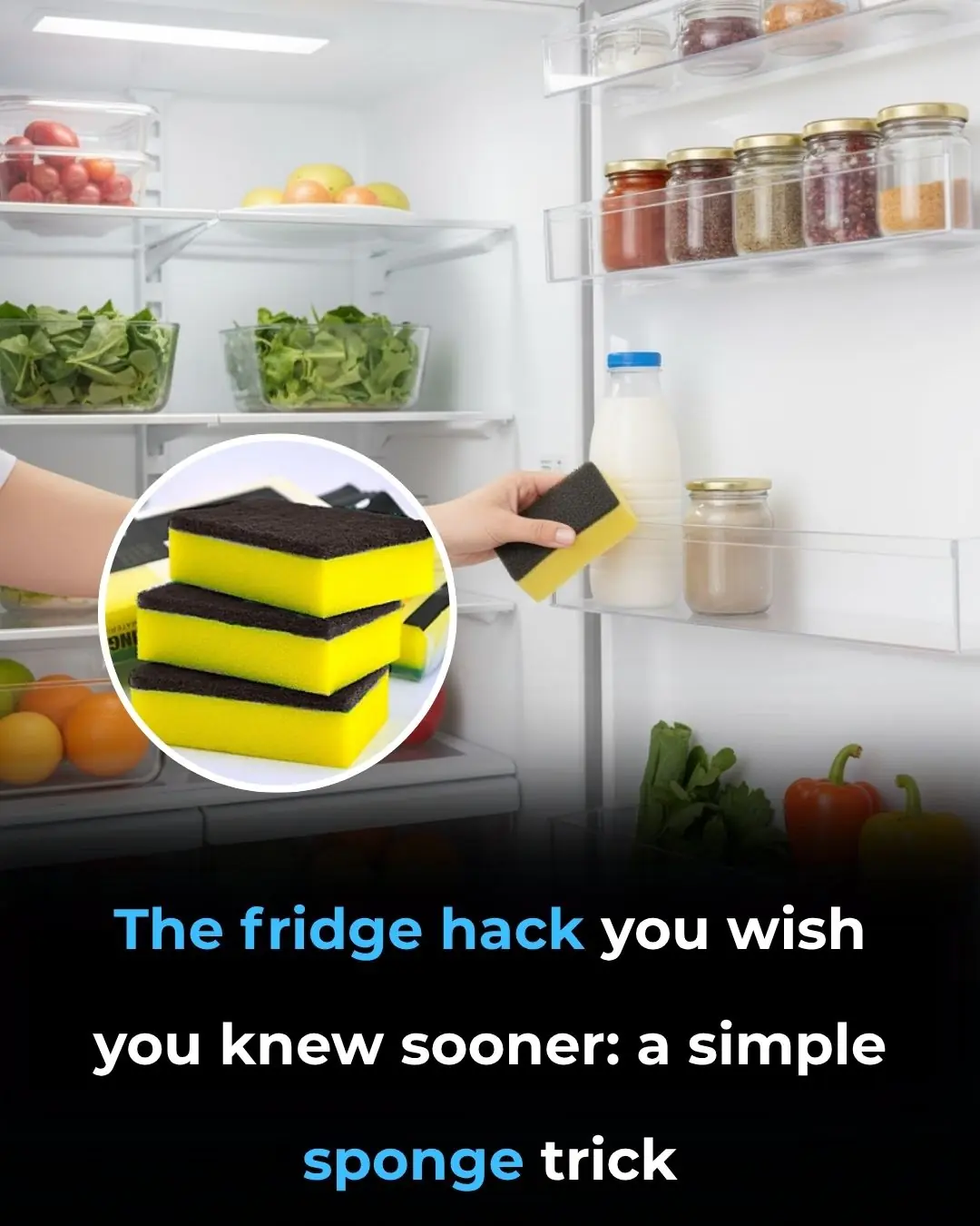 A Simple Sponge Trick For The Fridge