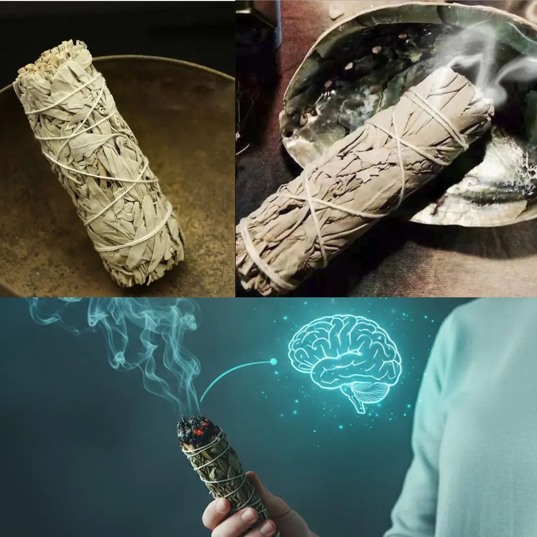 Burning Sage: What It Is, How to Do It, and Why It Might Help You